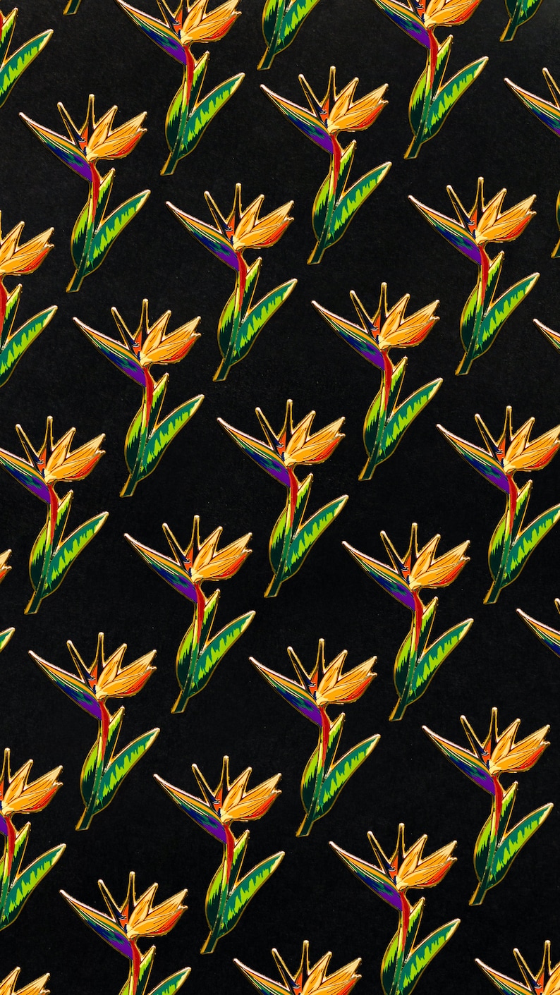 Bird of Paradise Plant Hard En - đánh giá và giá Paradise Jewelry & Watches Llc Miami Reviews