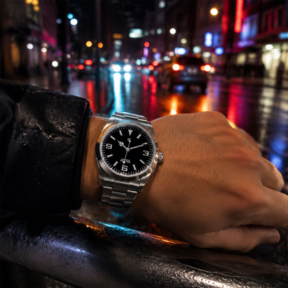 New PAGANI DESIGN Men Mechanic - đánh giá và giá Mens Mechanical Watch