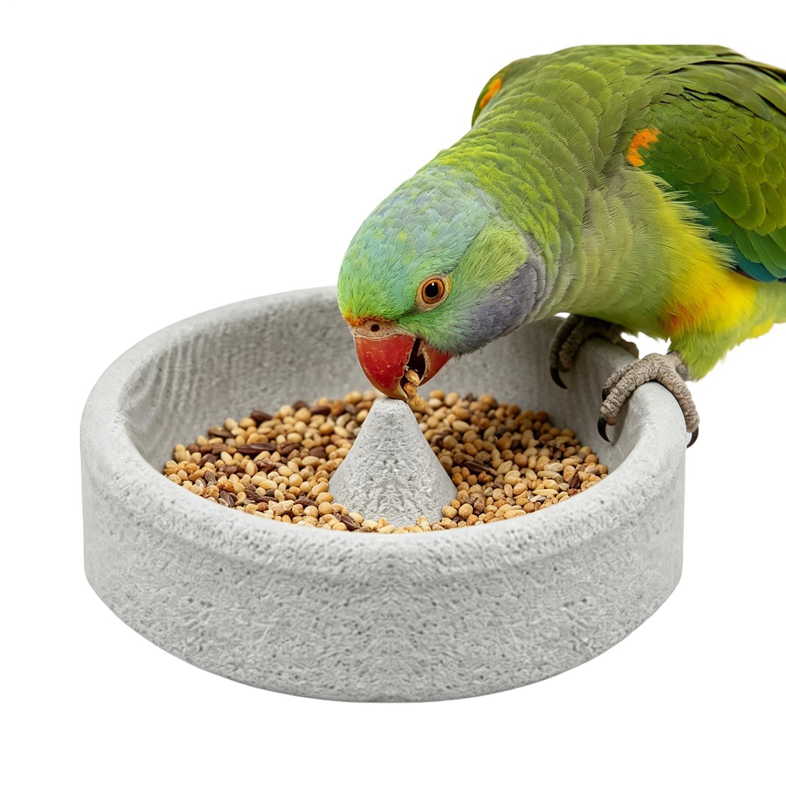Pumice Stone Bird Feeders for  - đánh giá và giá Stones Watches & Jewelry In Sweden Ab