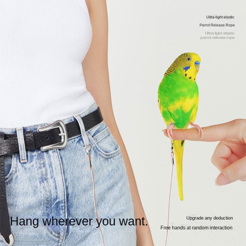 Elastic Parrot Traction Rope M - đánh giá và giá Anklet Foot Chain